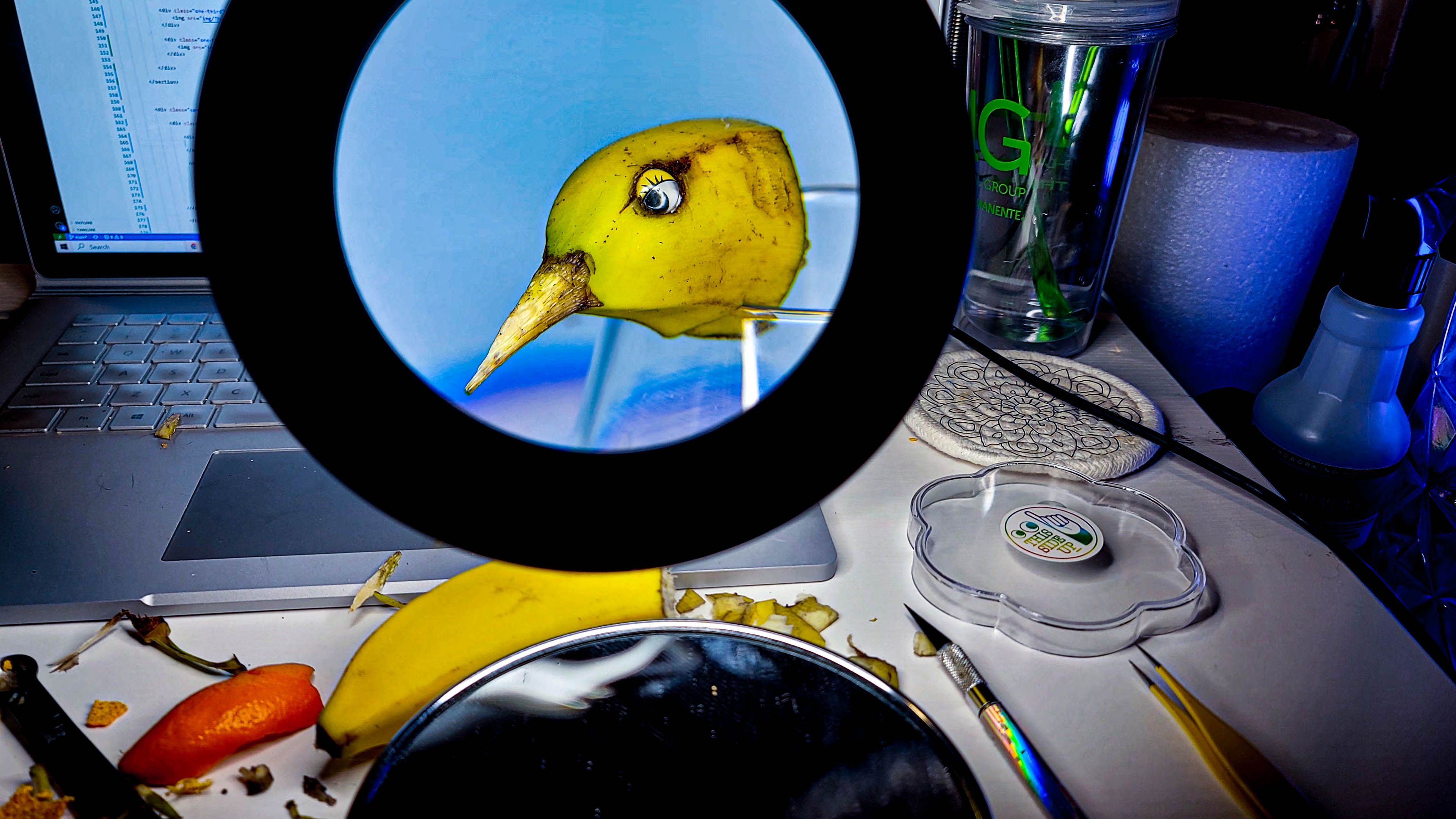 A closeup photo of the tip of a banana made into a bird. it is viewd through a magnifying gless to show detail. The beak is carved out of the banana's stem and there is a feminine looking yellow googly eye on it. You can see a glimpse of my computer in the background with vs code open. I was working on coding this site when I was destracted because I saw a bird in my banana.