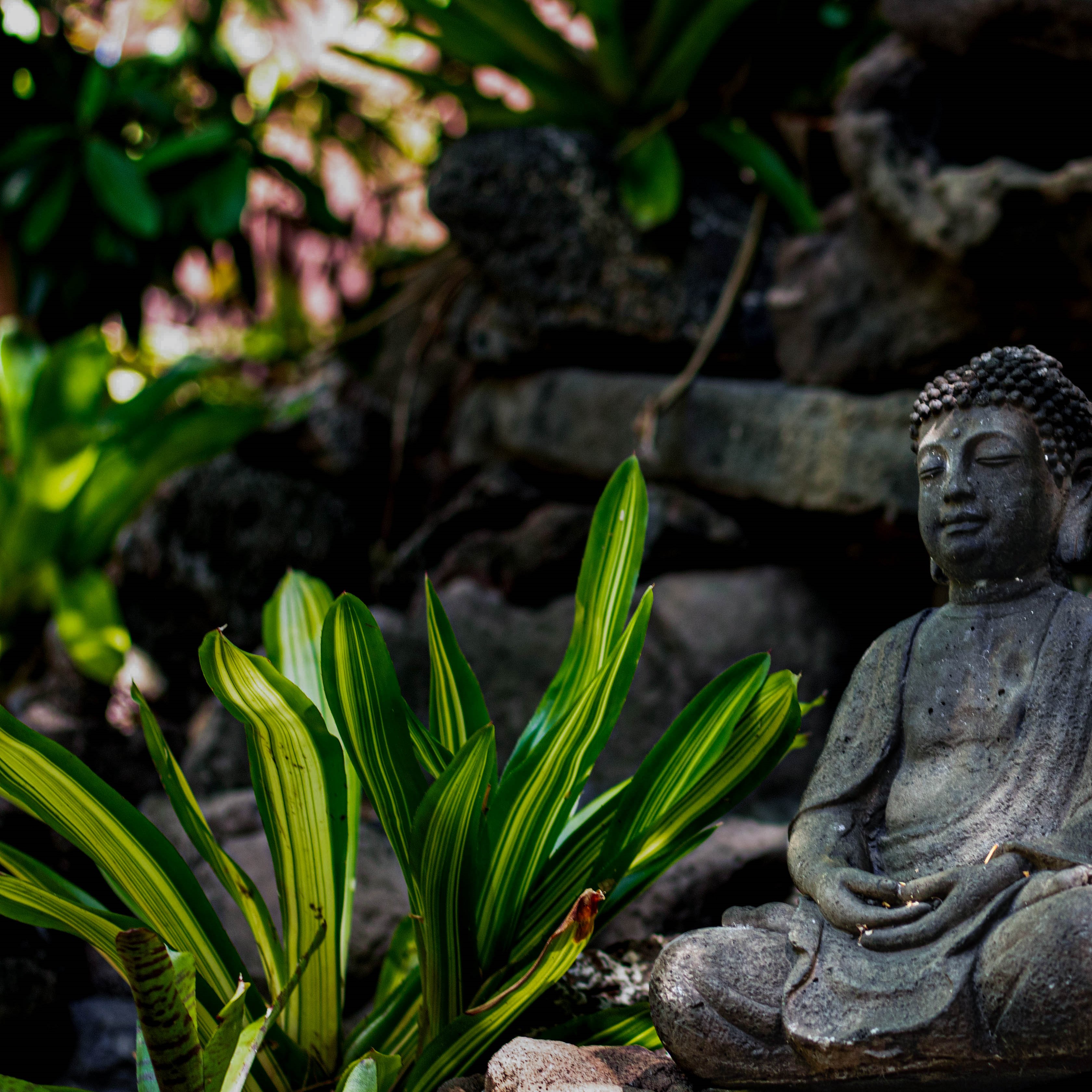 buddha statue